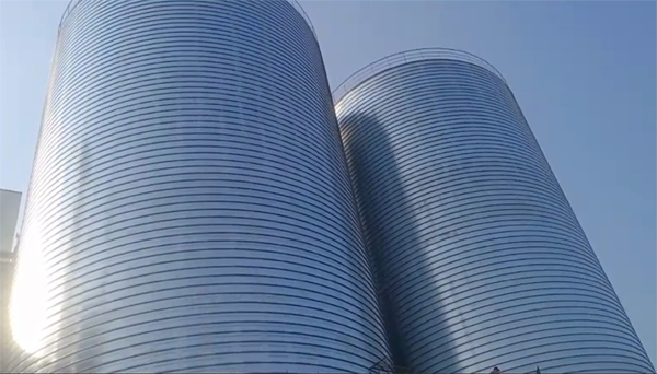 润州2座混凝土高架卷板仓